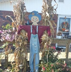 Meet your Posher, Timothy